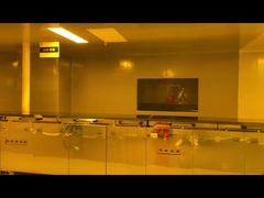 สายการพัฒนา