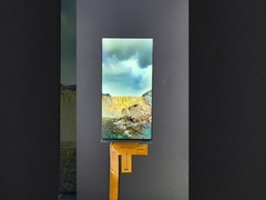 6 นิ้ว 1080 * 2160 ความละเอียด LCD TFT โมดูล MIPI อินเตอร์เฟซ ขับ IC HX8399C