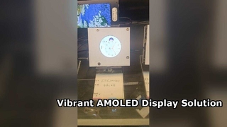 1.75 รอบ AMOLED 466X466