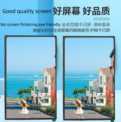 10.1 Inch TFT LCD Display with 1920(RGB) x 1200 Dots Resolution and Double LVDS Interface