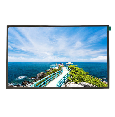 10.1 Inch TFT LCD Display with 1920(RGB) x 1200 Dots Resolution and Double LVDS Interface