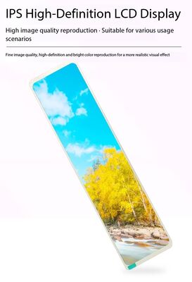11.26 inch IPS TFT LCD Module with 440RGBx1920 Resolution and MIPI Interface