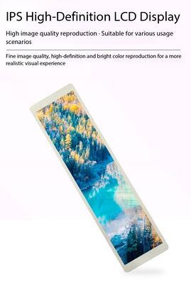 10.66 inch TFT LCD Module with 462RGBx1920 Resolution and MIPI Interface IPS TFT Display