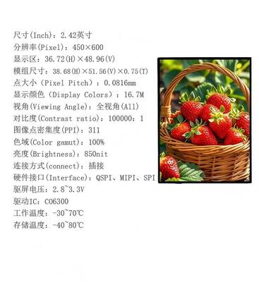 2โมดูลจอ AMOLED ขนาด.42 นิ้ว ความสว่าง 850 นิต และความละเอียด 450RGBx600