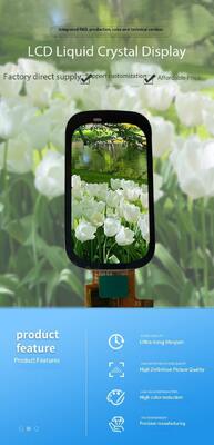 1.45 นิ้ว IPS จอแสดงผลสี TFT โมดูล TP 172 (RGB) x320 ความละเอียด MCU อินเทอร์เฟซ ST7789V3 ทั้งหมดดู 470nits 2LEDS